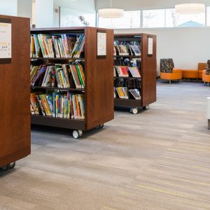 library shelving with casters at the marmalade library