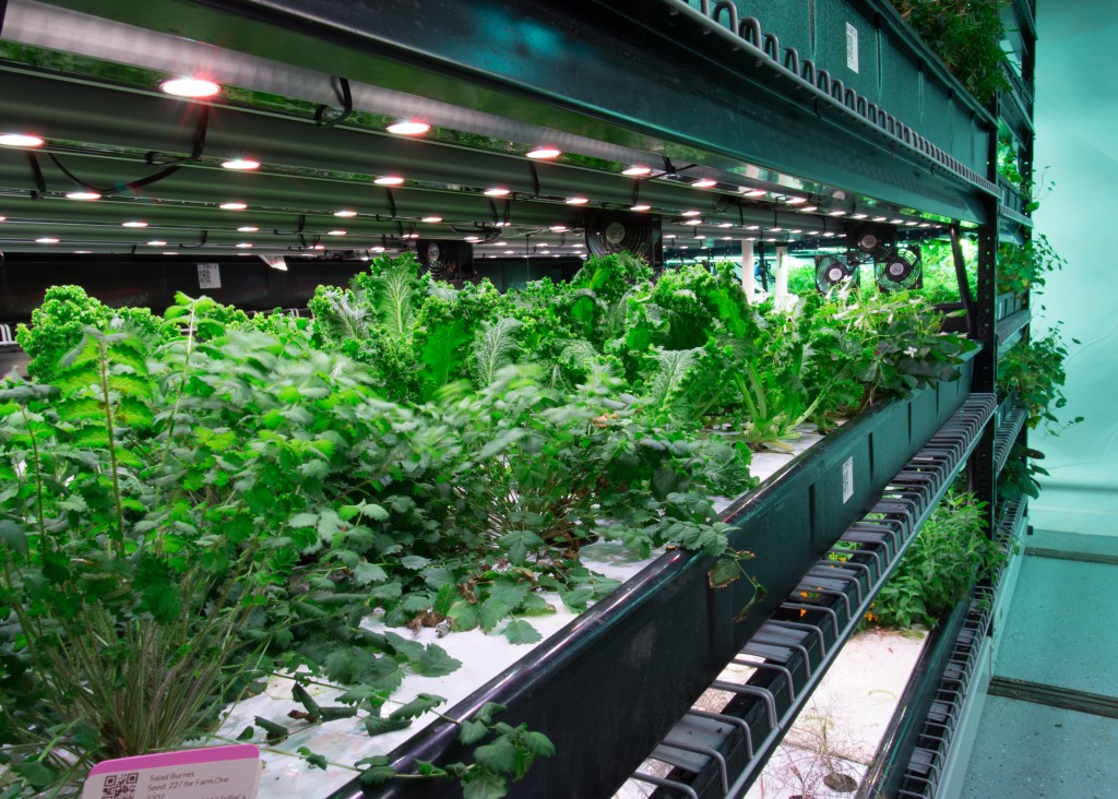 Grow Cannabis Indoor Commercial Grow Spacesaver Intermountain