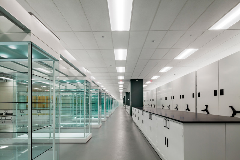 Collections Studies Center University Museum Storage