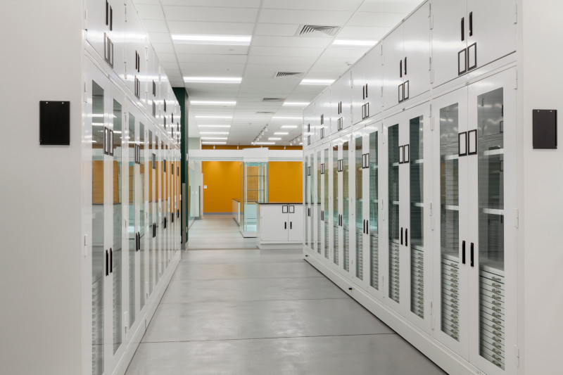 High Density Mobile Museum Cabinets Collections Studies Center University Art Gallery